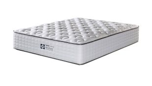 Sealy Tranquil Extra Firm Single Mattress Standard Length