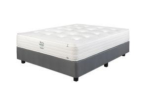 Forty Winks Sleep Pro Medium Single Bed Set Standard Length