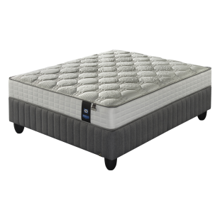 Sealy Breeze Firm Queen Bed Set Standard Length