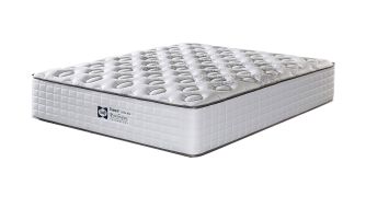 Sealy Tranquil Extra Firm Mattress Only